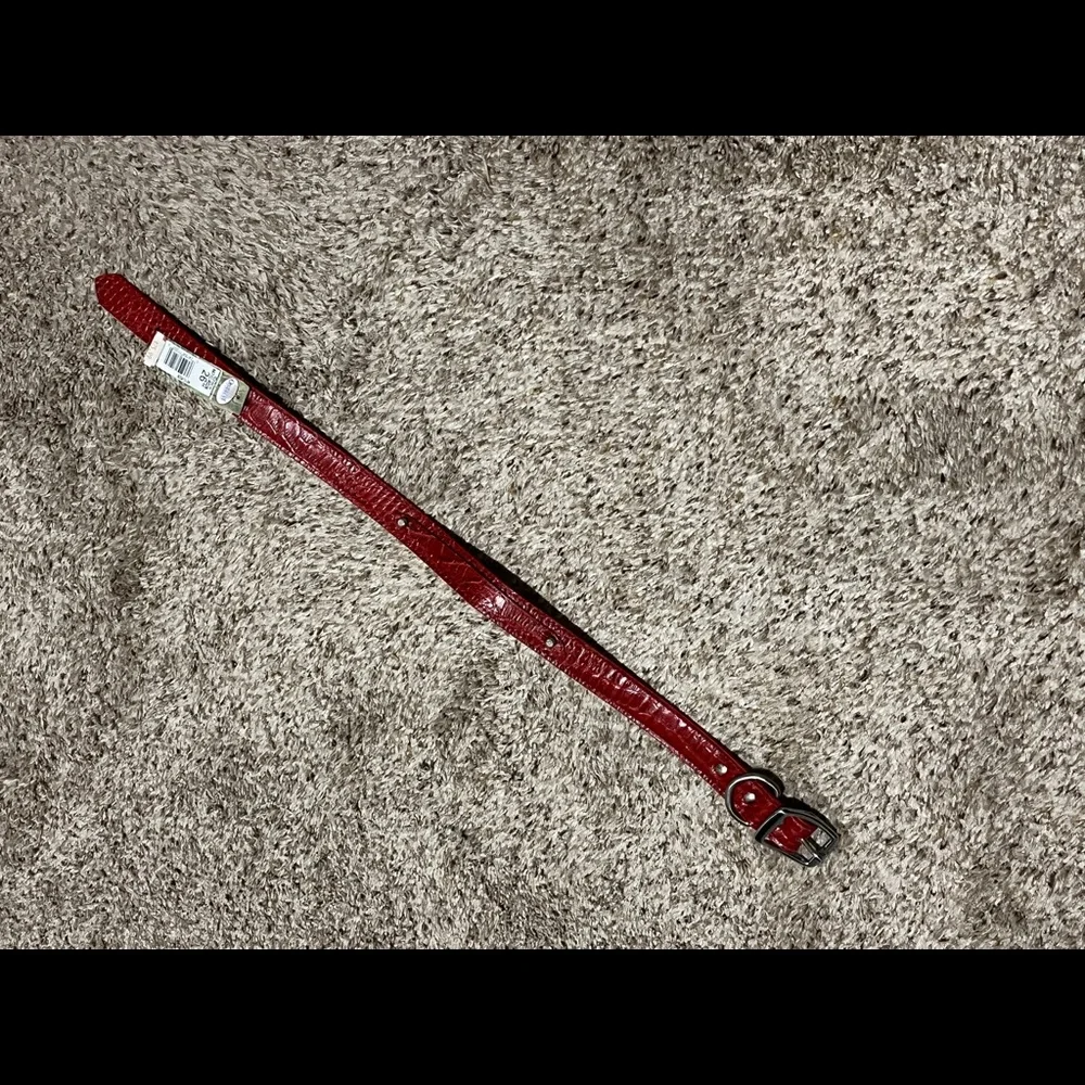 Red leather dog collar